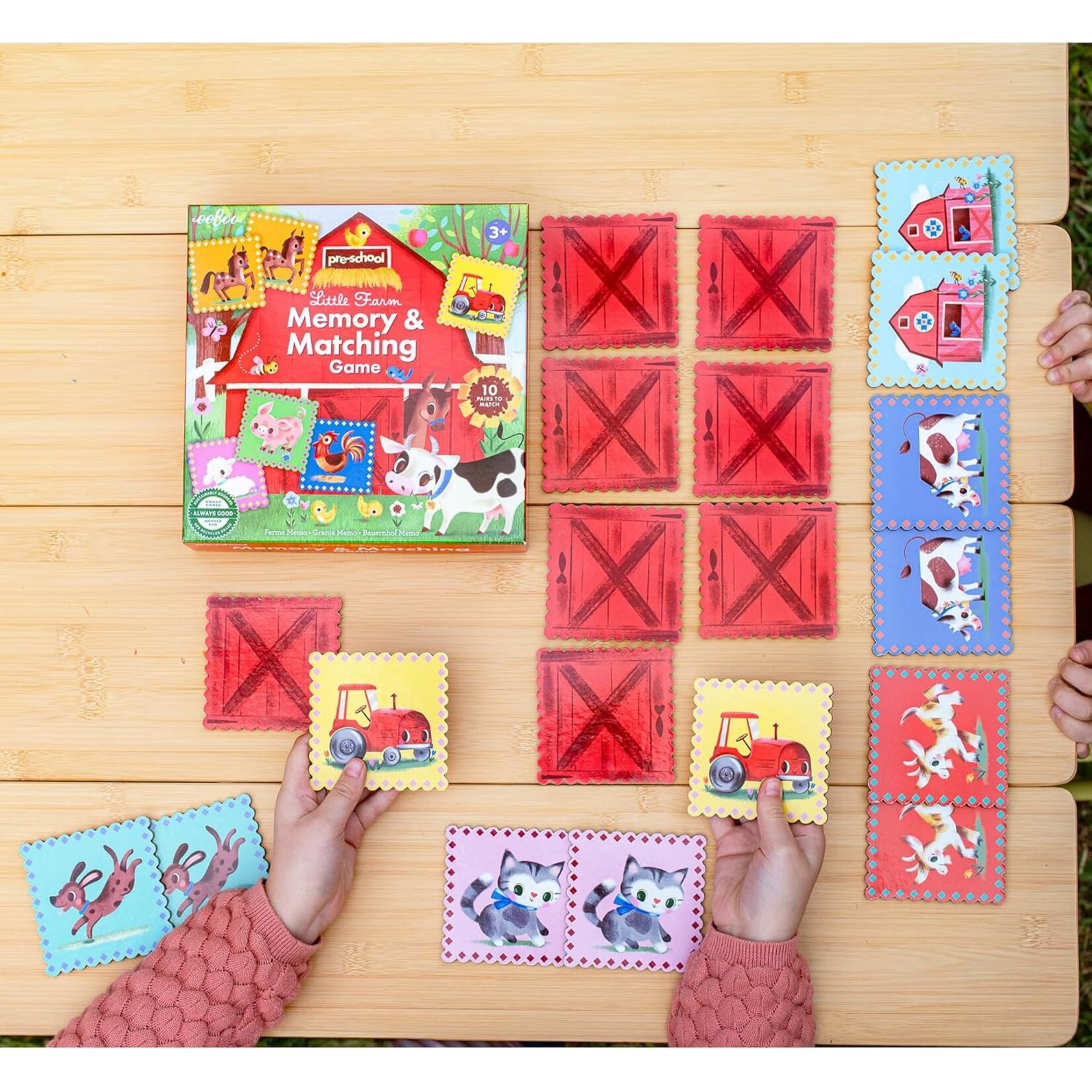 Agriculture and Food Pre-School Little Farm Matching Game