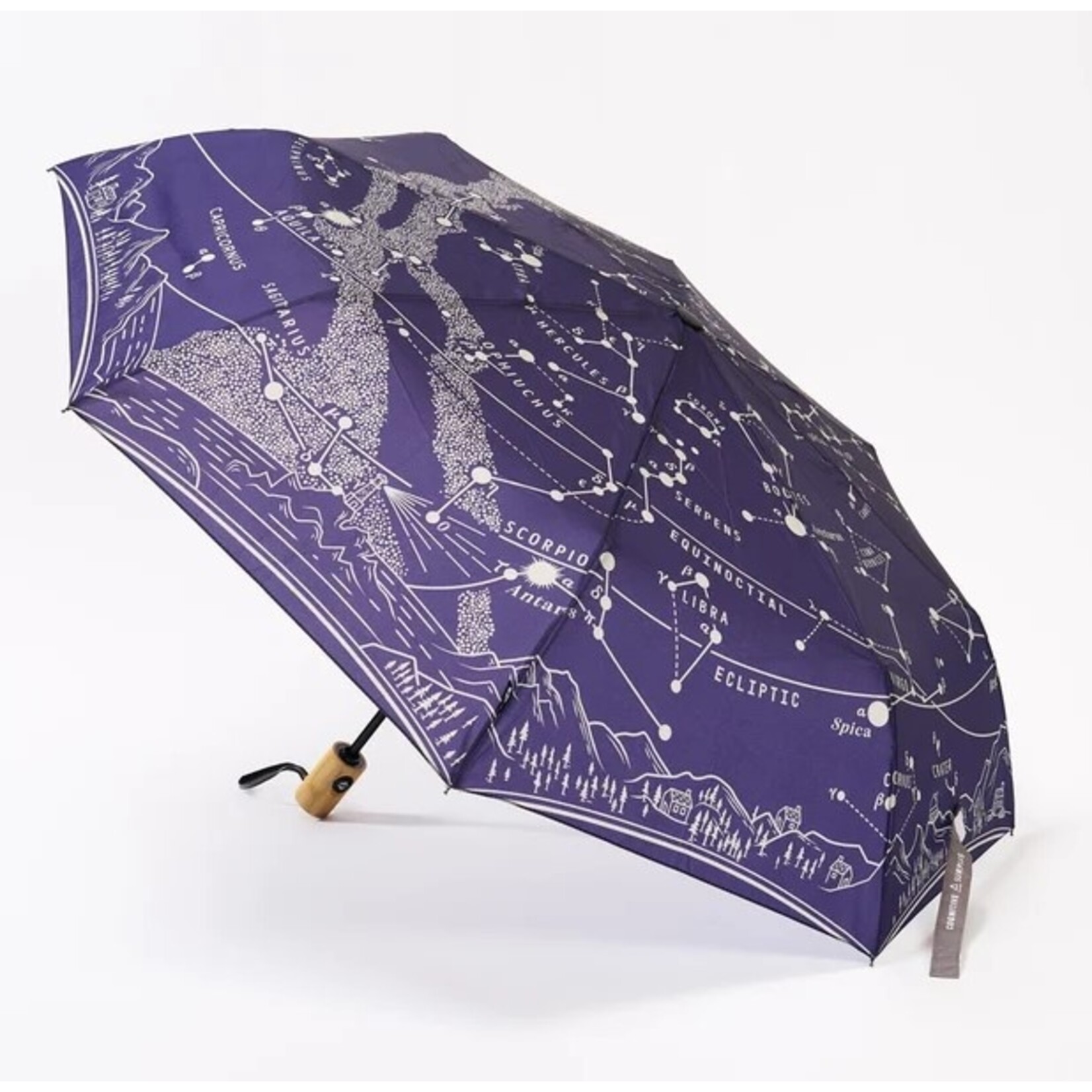 Aviation and Space Astronomy Umbrella