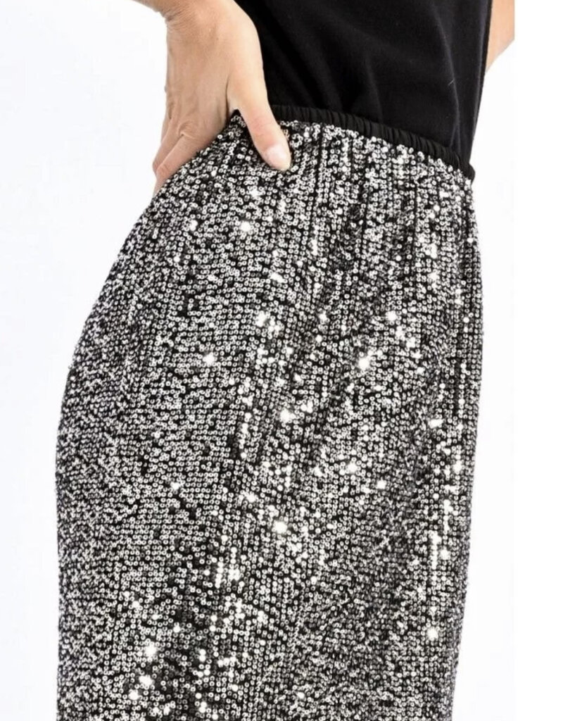 Molly Braken Sequin Skirt