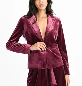 Molly Braken Velvet Blazer