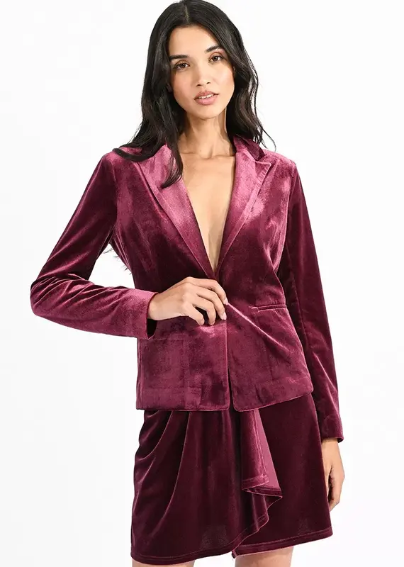 Molly Braken Velvet Blazer