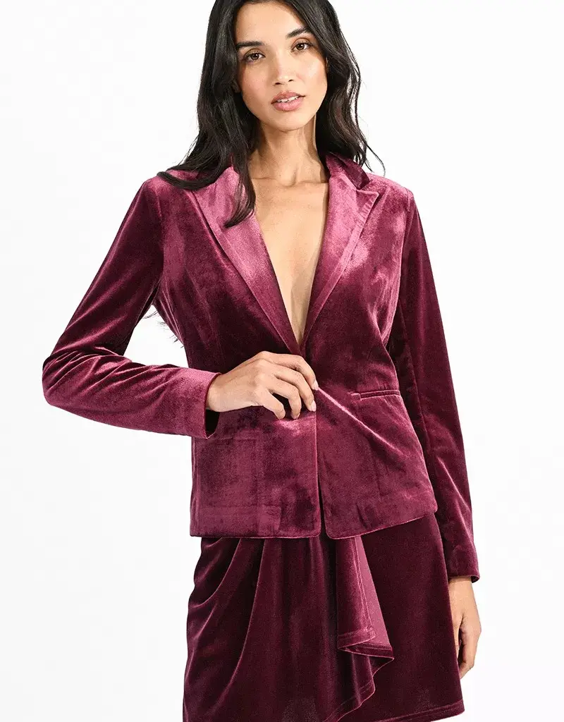 Molly Braken Velvet Blazer