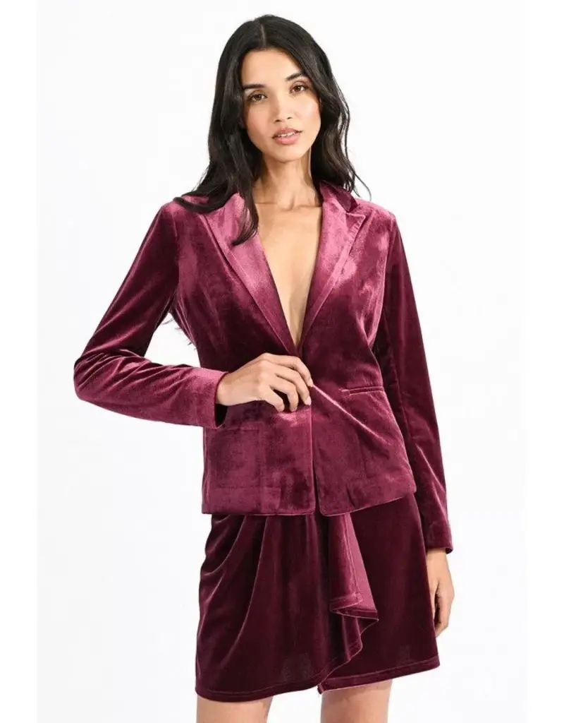 Molly Braken Velvet Blazer