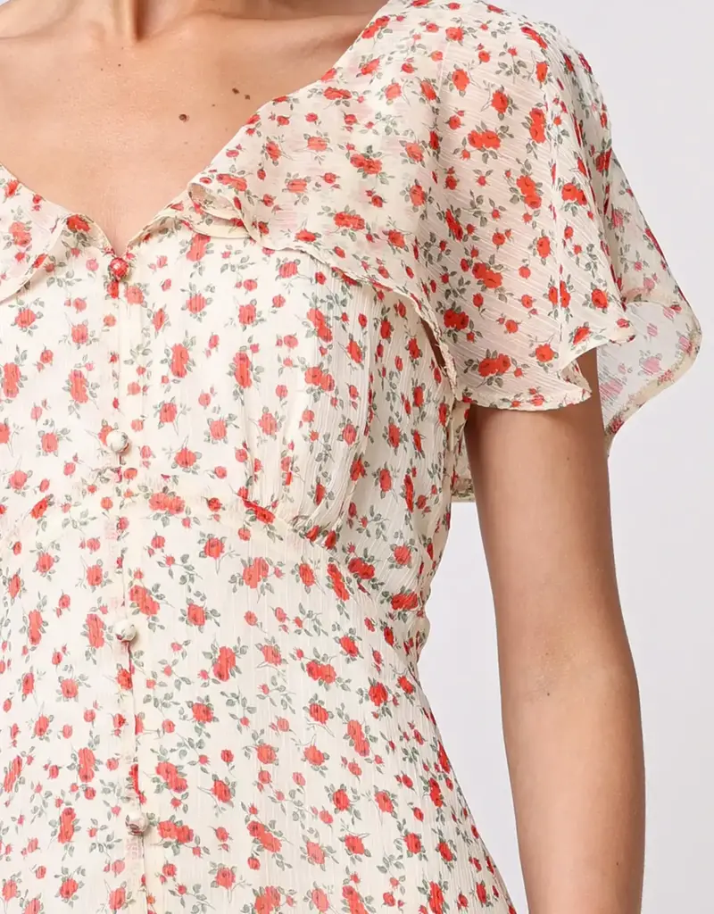 ANGELEYE Redcurrant Dress
