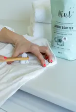 Mint Laundry Booster