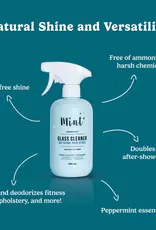 Mint Glass Cleaner