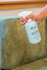 Mint Glass Cleaner