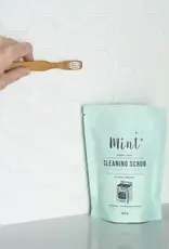 Mint Cleaning Scrub