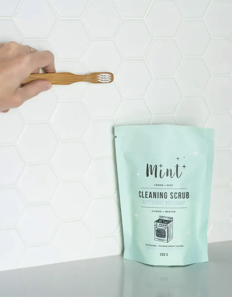 Mint Cleaning Scrub