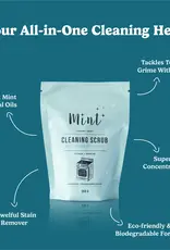 Mint Cleaning Scrub