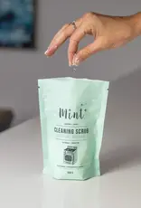 Mint Cleaning Scrub