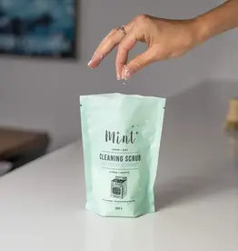 Mint Cleaning Scrub