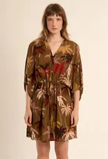 Molly Bracken Paloma Palm Dress