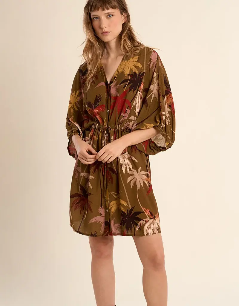Molly Bracken Paloma Palm Dress