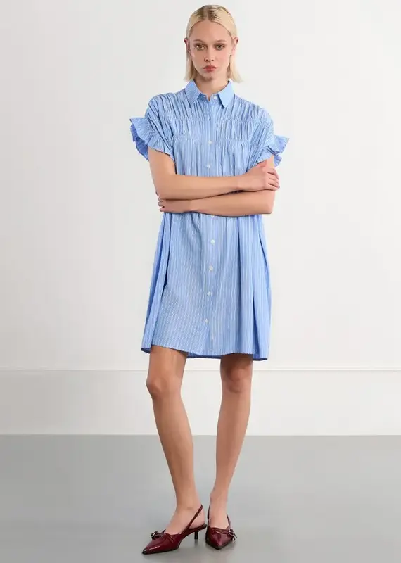 Molly Bracken Smocked Shirt Dress