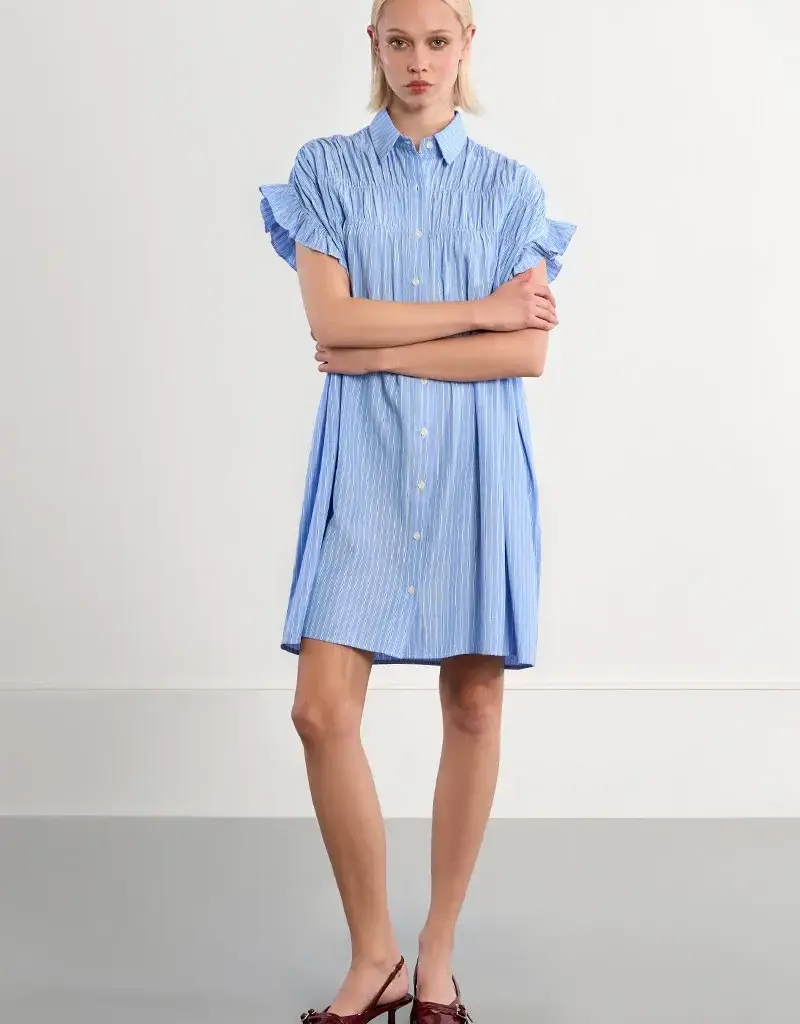 Molly Bracken Smocked Shirt Dress