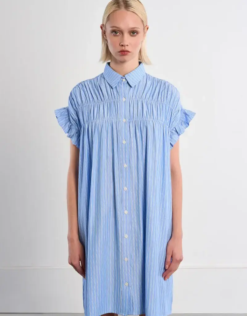 Molly Bracken Smocked Shirt Dress
