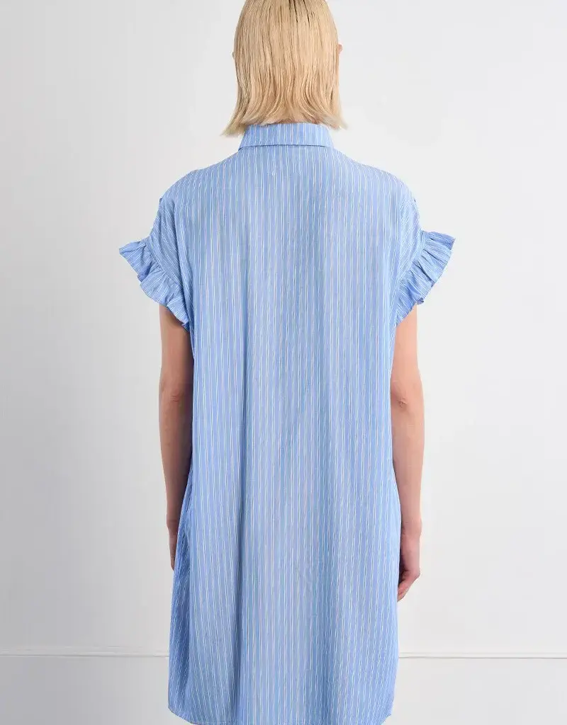 Molly Bracken Smocked Shirt Dress