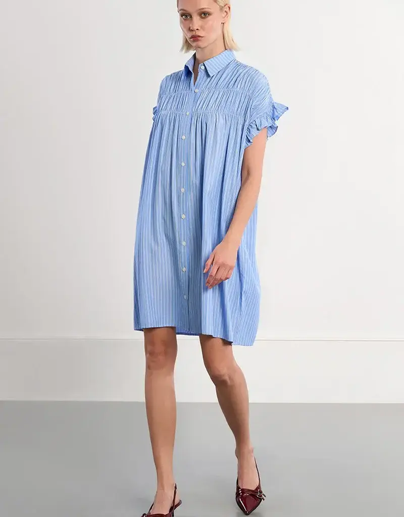 Molly Bracken Smocked Shirt Dress