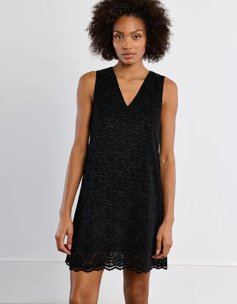 Molly Bracken Velvet Embroidered Dress