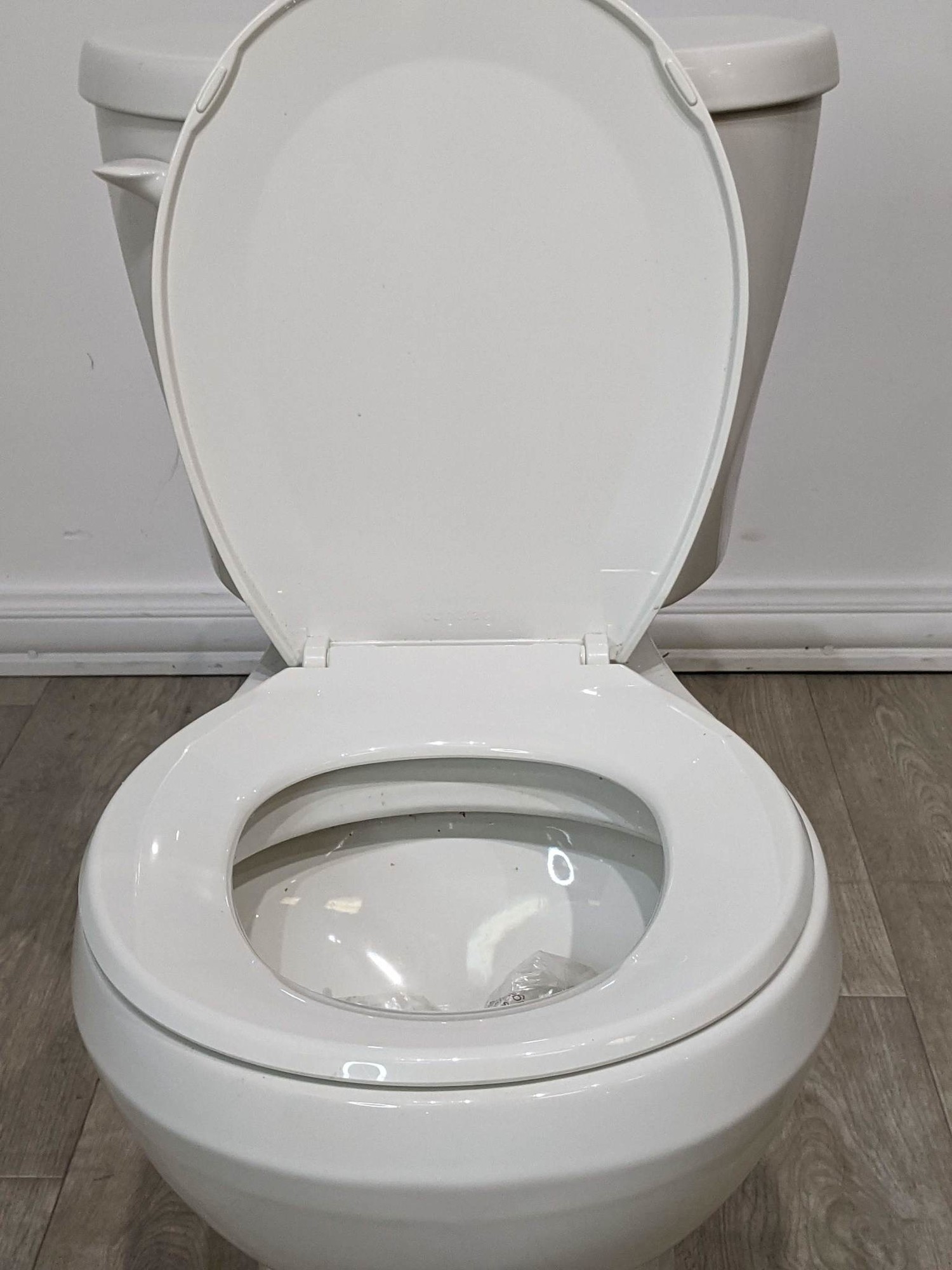Single Flush Toilet Habitat for Humanity ReStore