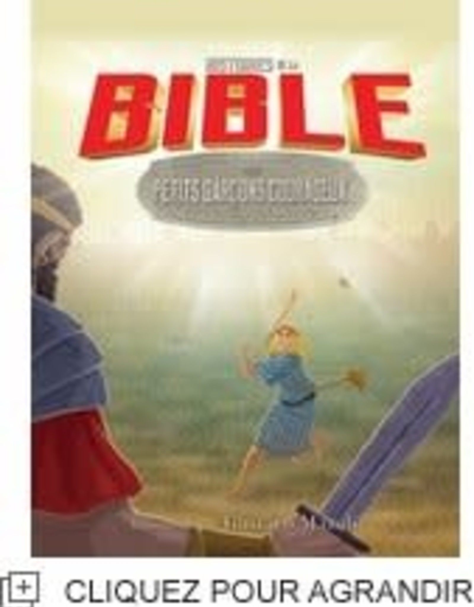 Histoires de la Bible pour les petits garçons courageux