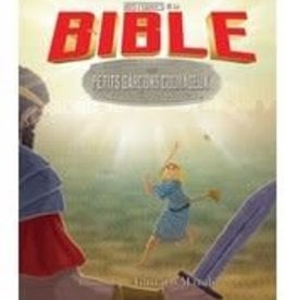 Histoires de la Bible pour les petits garçons courageux