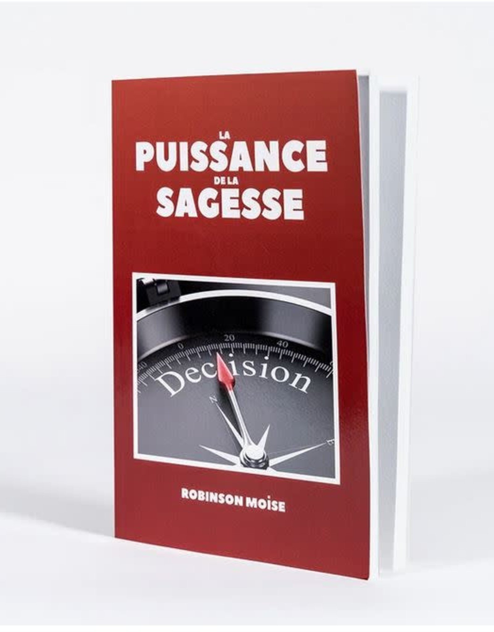 Robinson Moise La Puissance de la Sagesse