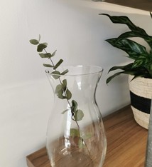 Clear Jordan vase 10" (large)
