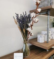 Lavander cotton (vase not included)