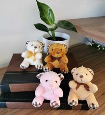 palette de couleur Souvenir teddy bear