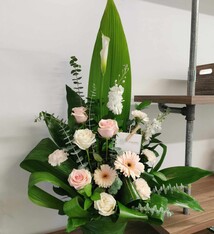 Sympathie *choix de couleurs disponible*