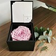 Rose éternelle en boîte cadeau
