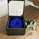 Rose éternelle en boîte cadeau