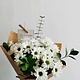 Marguerites