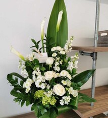 Serenity *possible to add color*