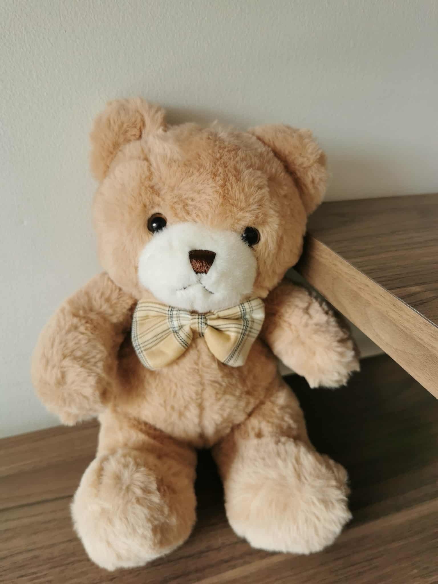 ourse en peluche
