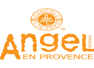 ANGEL PROFESSIONAL