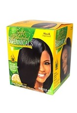 SOFT & BEAUTIFUL BOTANICALS RELAXER KIT REGULAR