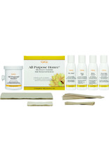 GIGI ALL PURPOSE HONEE MICROWAVE FORMULA HAIR REMOVAL SYSTEM
