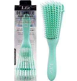 LIZ PROFESSIONAL CARE DETANGLE HAIR BRUSH - GREEN