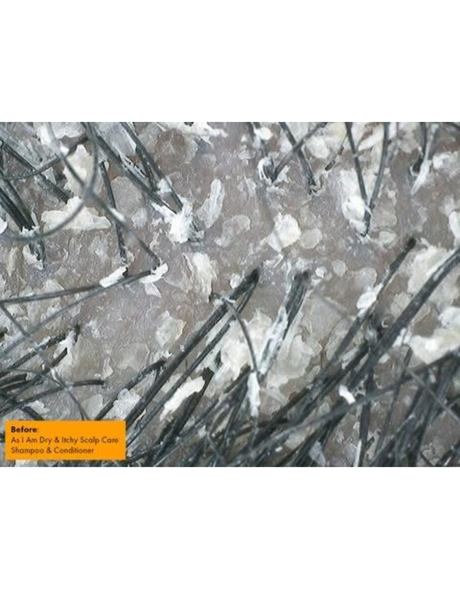 AS I AM DRY & ITCHY SCALP CARE OLIVE & TEA TREE OIL DANDRUFF CONDITIONER 12OZ