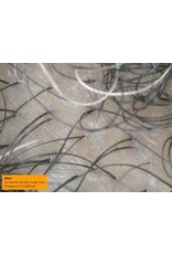 AS I AM DRY & ITCHY SCALP CARE OLIVE & TEA TREE OIL DANDRUFF CONDITIONER 12OZ