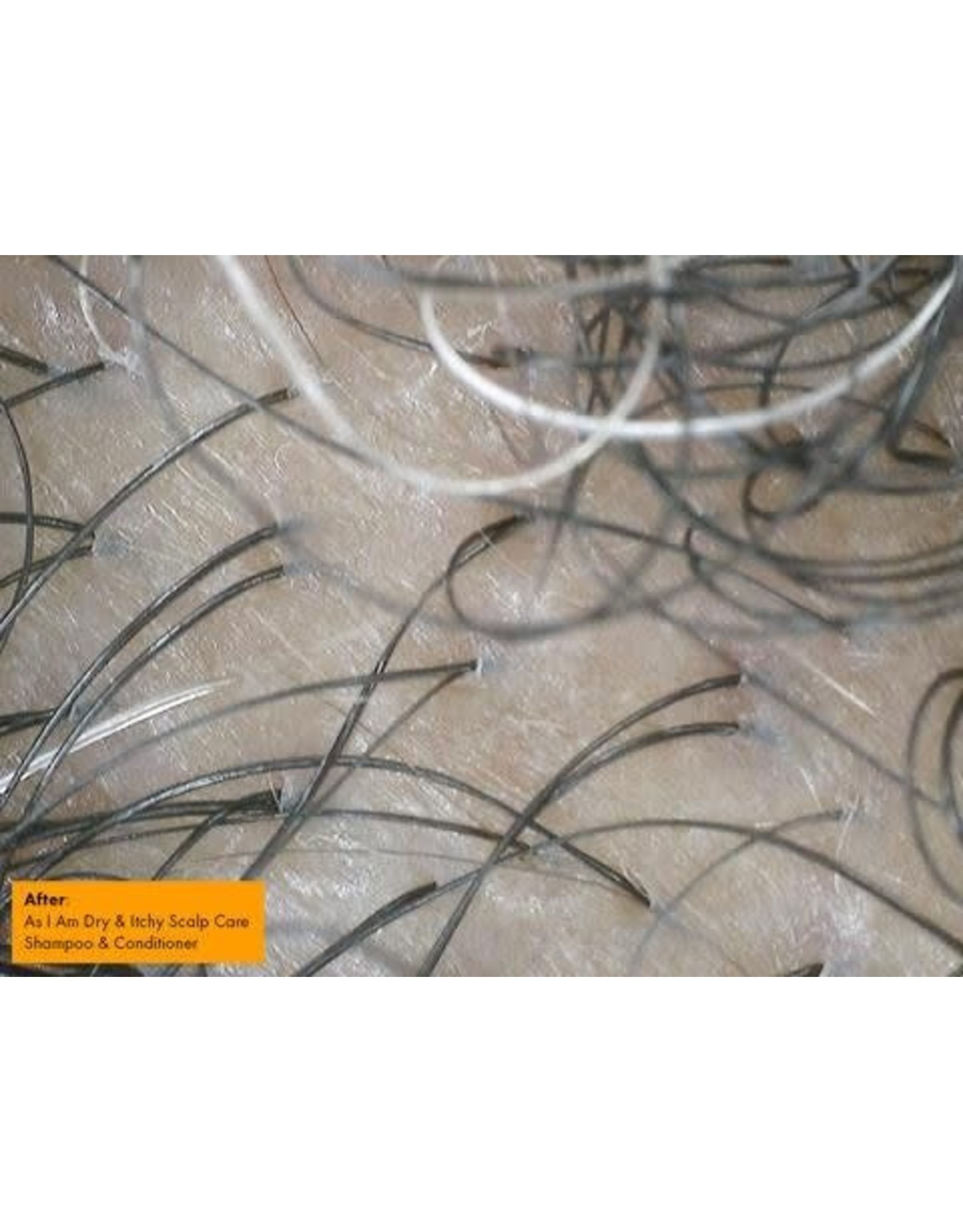 AS I AM DRY & ITCHY SCALP CARE OLIVE & TEA TREE OIL DANDRUFF CONDITIONER 12OZ