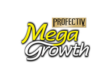 PROFECTIV