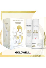 GOLDWELL DUAL SENSES HOLIDAY TRIO
