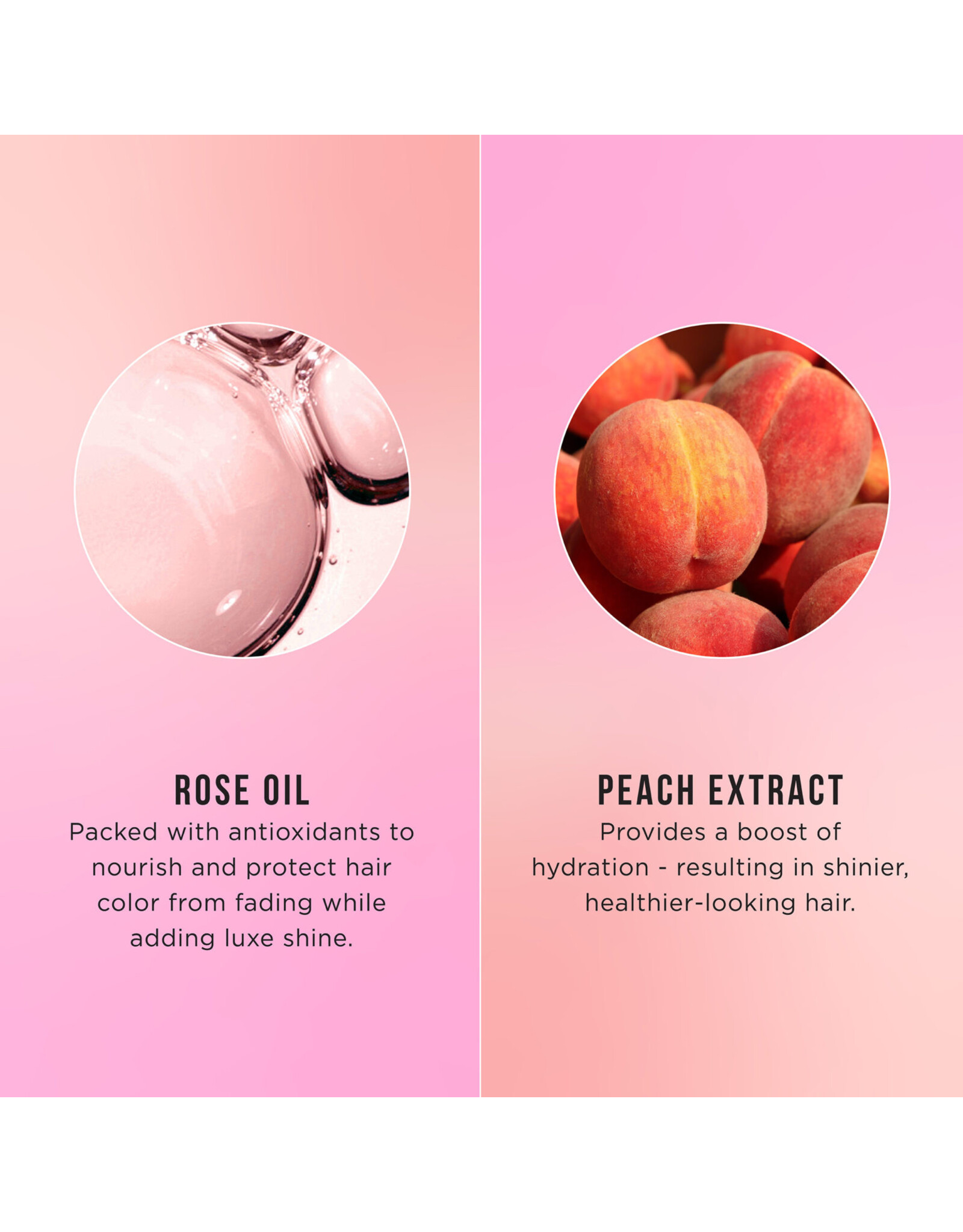 HASK ROSE OIL & PEACH COLOR PROTECTION DEEP CONDITIONER 50ML