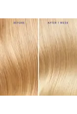 MOROCCANOIL MOROCCANOIL TREATMENT PURPLE