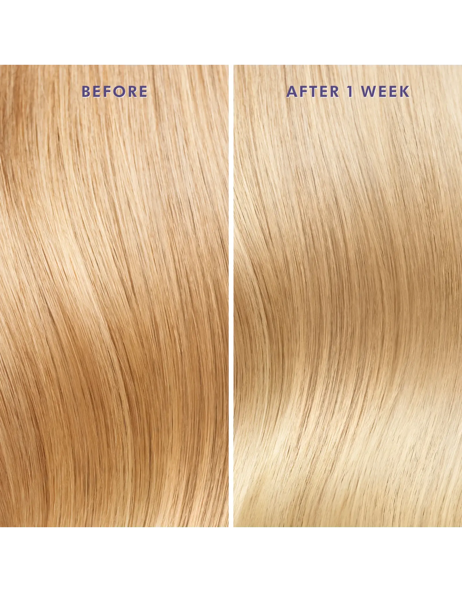 MOROCCANOIL MOROCCANOIL TREATMENT PURPLE