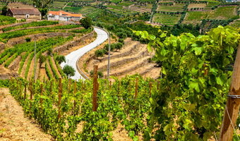 Hartford Court Land's Edge Vineyards Pinot Noir 2021 Vintage